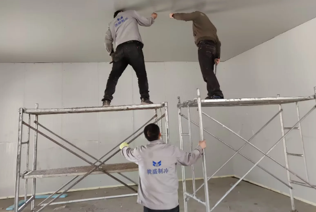 苏州350㎡鲜花恒温冷库项目案例