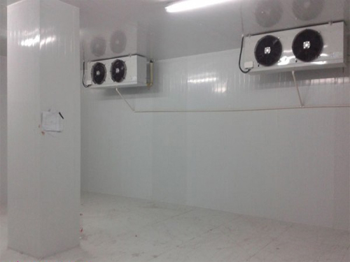 上海南汇赵先生双温冷库建造