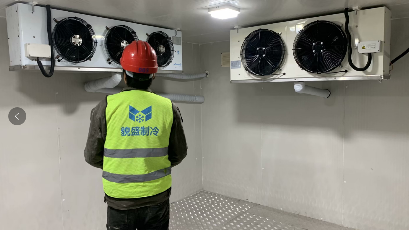 上海200㎡一备一用医药冷库建造项目