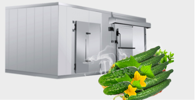 屏幕快照 2021-01-26 下午1.44.32.png