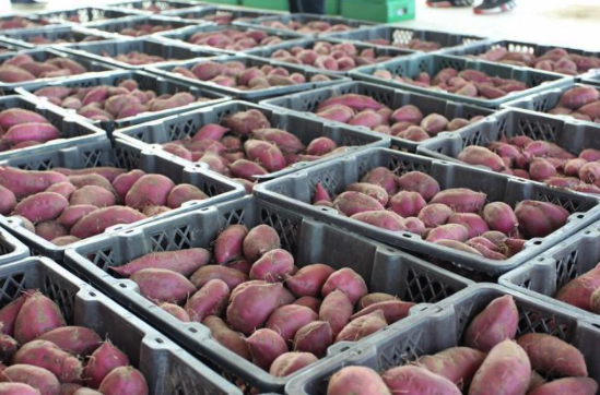 屏幕快照 2021-01-27 下午1.51.54.png